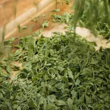 Industrial Parsley and Coriander Chopping Machine 